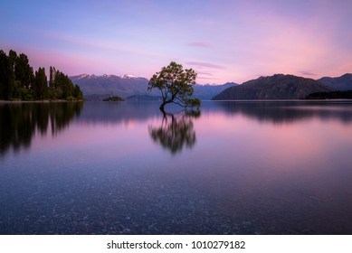 Imagenes Fotos De Stock Y Vectores Sobre Lake Reflection