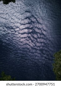 Wandering through the endless canvas of the cloudy sky