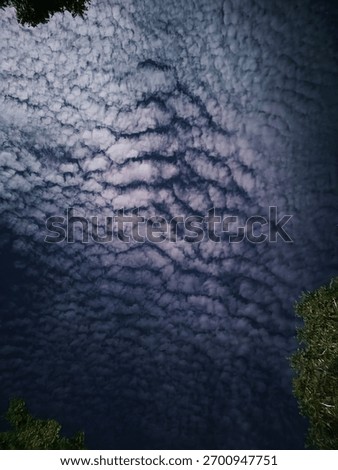 Wandering through the endless canvas of the cloudy sky