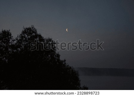 waning moon over a tree on a foggy morning