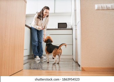 I Want To Eat! Full Length Of The Impatient Dog Asking For Food From His Female Owner Standing With Aluminum Bowl Filled With Feed. Eating Concept