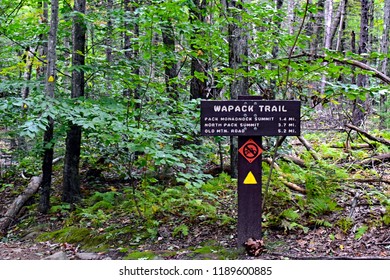 Wapack Trail Wood Marker On Pack Monadnock Mountain