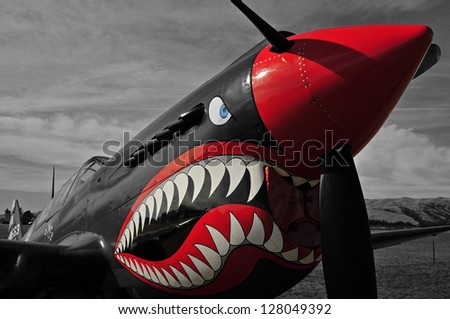 War bird Kittyhawk