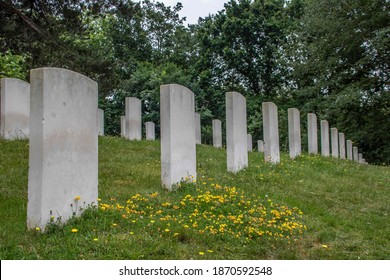 War Graves In A Military Cemetary