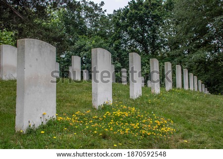 war graves in a military cemetary