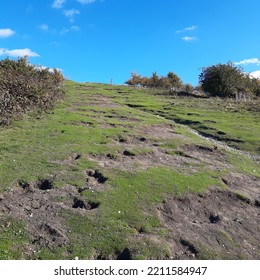 Warden Hills Nature Reserve In Luton, Bedfordshire, England. English Countryside. 