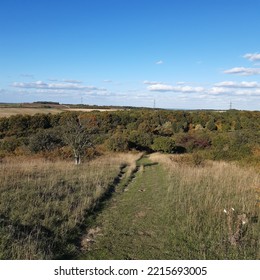 Warden Hills Nature Reserve In Luton, Bedfordshire, England. English Countryside. 