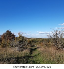 Warden Hills Nature Reserve In Luton, Bedfordshire, England. English Countryside. 