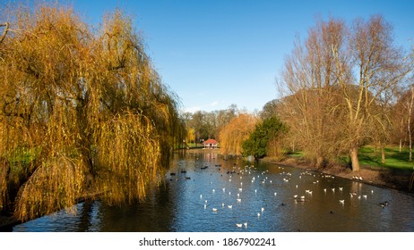 Wardown Lake In Wardown Park, Luton