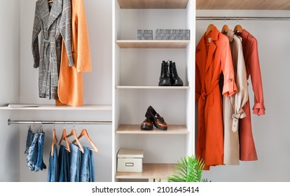 Wardrobe With Trendy Female Clothes In Walk-in Closet