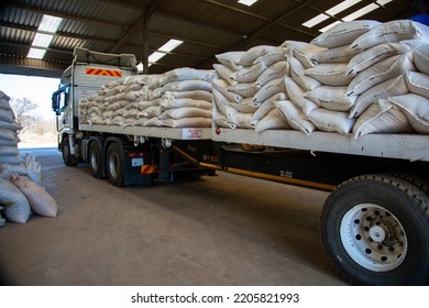 Warehouse Grain In Africa With Food For People During Food Crisis For Ukraine War