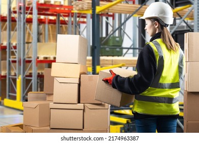 Warehouse Manager. Woman With Box Inside Logistics Warehouse. Warehouse Company Manager Career Concept. Distribution Center Manager In Yellow Vest. Girl In Hardhat In Front Of Blurred Shelving