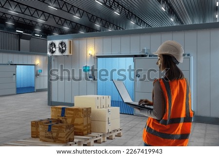 Warehouse refrigerator. Woman sets up industrial cold equipment. Technician girl with laptop. Refrigerator inside factory. Warehouse worker preparing boxes to be loaded into refrigerated truck