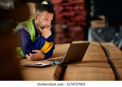 Warehouse Worker Using Laptop While Working At Wood Storage Compartment. 