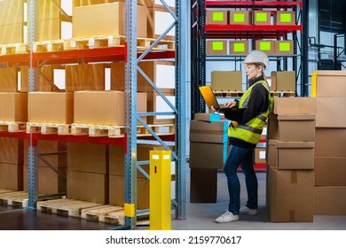 Warehouse Worker Woman. Girl With Laptop Among Warehouse Racks. Warehouse Worker Use Laptop Computer. Concept Of Choosing Storage Location Using Software. Distribution Center Fulfillment Company