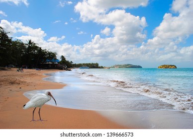 Warfe Beach In St Lucia