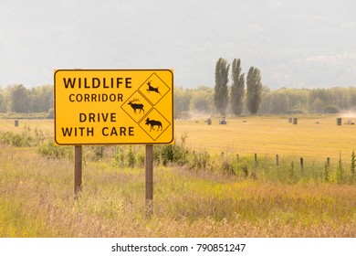 Waring Wildlife Corridor Ahead : Drive With Care Sign