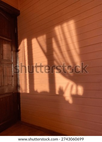 Warm afternoon sunlight creating angular shadows on light peach wooden plank wall with dark brown wooden door and on left side
