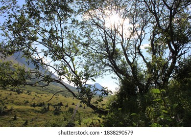 Warm Alaska Summer Sun On The Mountain Side