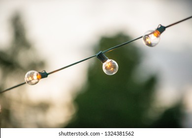 Warm Backyard Sting Light Bulbs