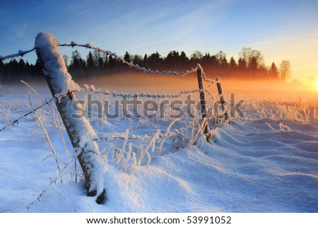 Warm cold winter sunset, last rays of setting sun coloring the fog golden in this winter sunset viewed in Estonia