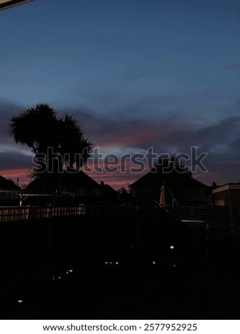 A warm and colorful sunset over a suburban backyard. The deep hues of pink, orange, and blue create a dreamy sky, while silhouettes of houses, fences, and trees frame the scene.