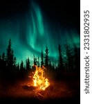 A warm and cosy campfire in the wilderness with forest trees silhouetted in the background and the stars and Northern Lights -Aurora Borealis- lighting up the night sky. Photo composite.