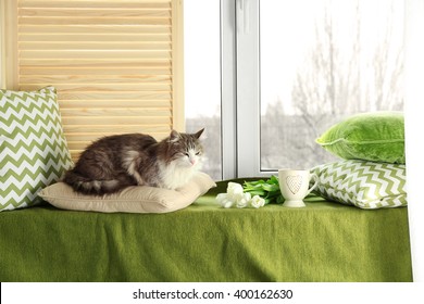 Warm And Cozy Window Seat With A Cat On Cushions.