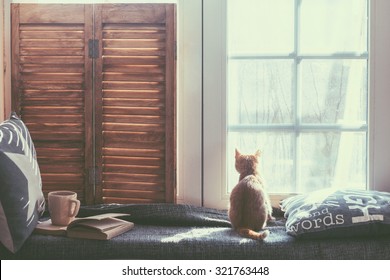 Warm and cozy window seat with cushions and a opened book, light through vintage shutters, rustic style home decor.