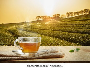 Warm Cup Of Tea On The Wooden Table And The Tea Plantations Background, Sunrise Time