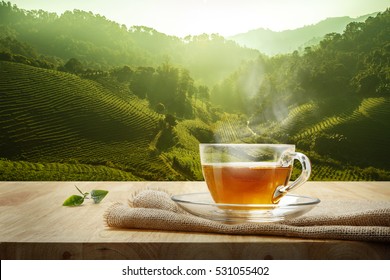 Warm Cup Of Tea And Organic Green Tea Leaves On Wooden Table With The Tea Plantations Background