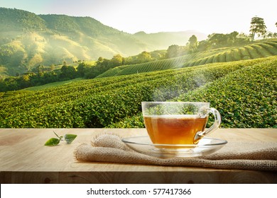 Warm cup of tea and organic green tea leaf on wooden table with the tea plantations background - Powered by Shutterstock