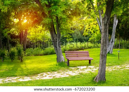 Warm evening in summer park, empty bench for rest