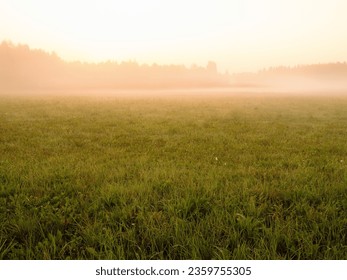 Warm fog over a cut grass filed before sunrise. Rural farmland. Stunning nature scene. Calm and peaceful mood. Relaxing view on a meadow in a mist. - Powered by Shutterstock