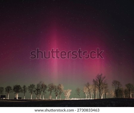 Warm glowing aurora borealis or light pillars over a line of trees at night. Ethereal atmospheric phenomenon with light streaks in a dark starry sky. Golden and orange glow in the night.