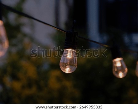 Warm glowing string lights hanging in a garden at dusk, creating a festive and cozy atmosphere.