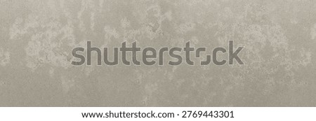 Warm Grey Limestone Surface with Organic Veining and Subtle Earthy Tones