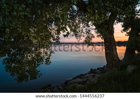 Warm light illuminates a tree along the shoreline of Lake Loveland in Larimer County