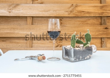 The warm light of the setting sun reflects off the curves of the glasses, where the red wine gleams brightly against the cactus's spiky, minimalist profile against the blue background