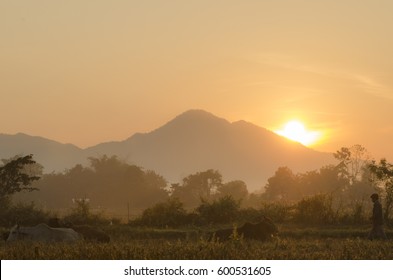 Warm light of sun