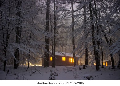 Tree Cabin Images Stock Photos Vectors Shutterstock