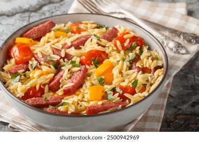 Warm orzo pasta salad with salami sausage, bell pepper, garlic and tomatoes close-up in a bowl on the table. Horizontal
 - Powered by Shutterstock