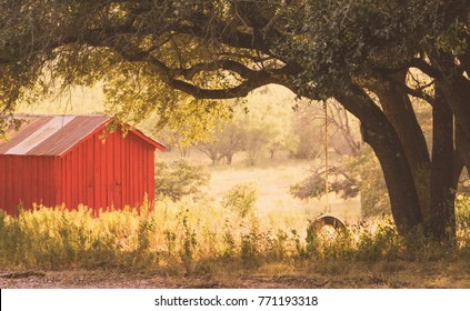 Warm peachy sunset in the country behind a red barn and tire swing hanging from an oak tree