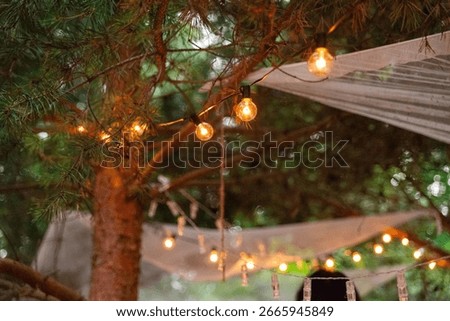 Warm string lights hang gracefully among tree branches, creating a cozy atmosphere. the lights illuminate the green foliage, evoking a serene outdoor setting perfect for gatherings.