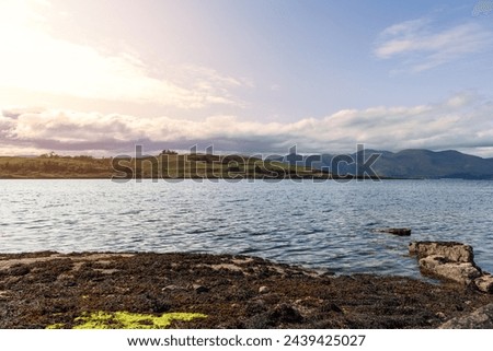Warm sunlight bathes Shuna Island in Loch Linnhe, viewed from a rocky Oban shore, where the tranquility of nature prevails