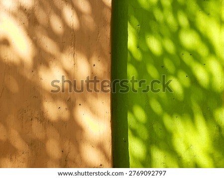 Warm sunlight casts soft foliage shadows on textured concrete wall creating abstract natural background. Tropical leaf silhouettes form beautiful pattern with light and shade, for design or wallpaper