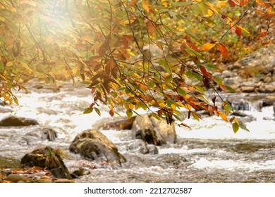 Warm sunlight glow over the Pigeon River and the glow of the autumn colors. - Shutterstock ID 2212702587