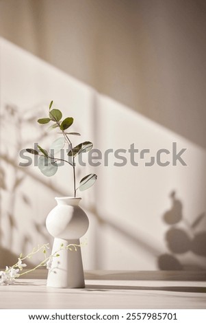 Warm sunlight streaming in through the window, beige background, flowers, vases, and a table with plants. Harmony of light and shadow.
