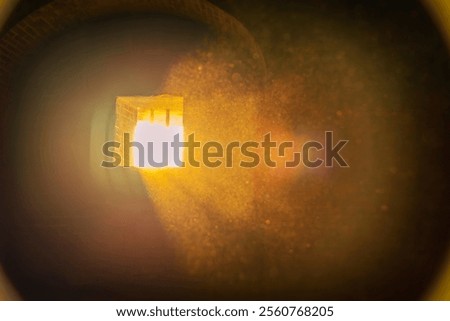 Similar – Image, Stock Photo warming | sunlight within reach