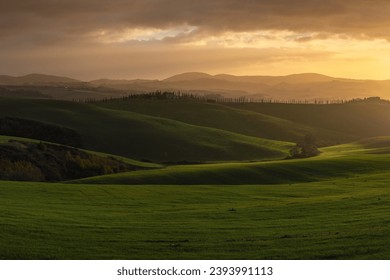 A warm sunrise landscape in the rolling hills of Tuscany with green fields and trees - Powered by Shutterstock